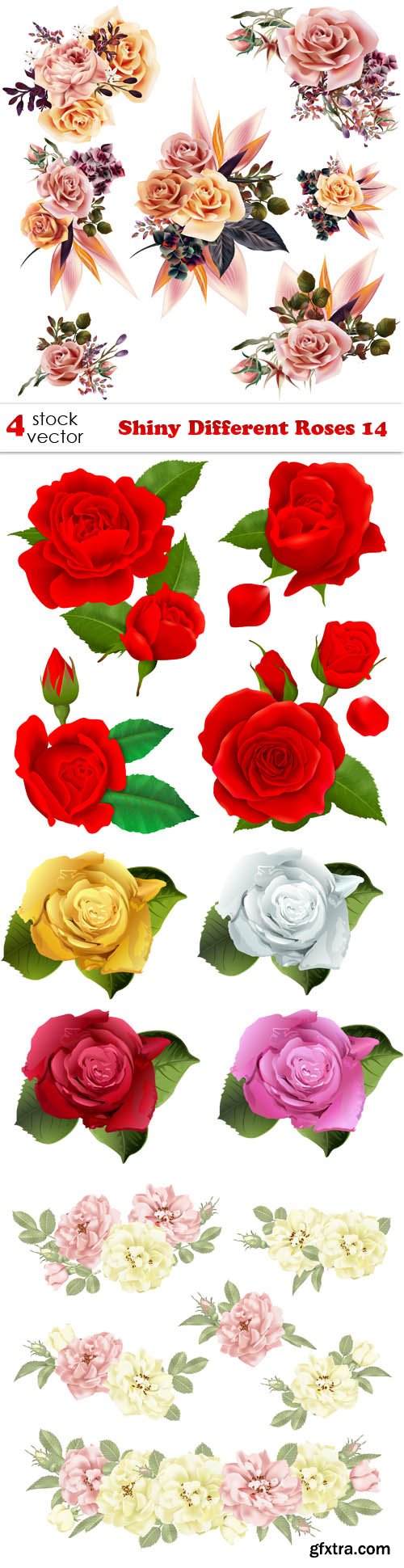 Vectors - Shiny Different Roses 14