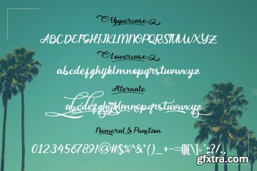 Yulia Font