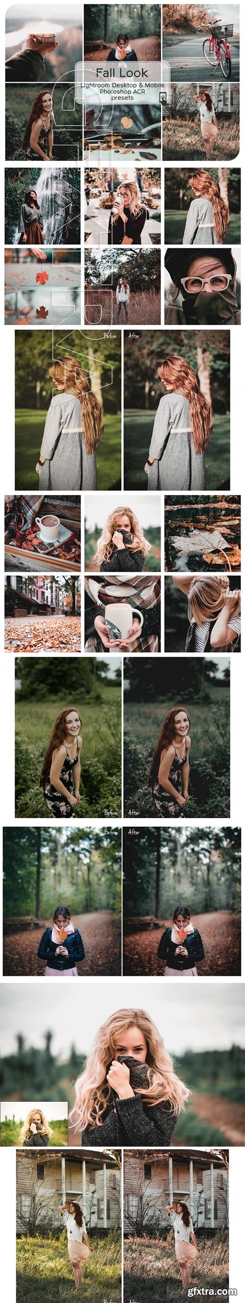 Fall Look Lightroom Desktop and Mobile Presets