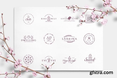 CM - Wonderland Fonts Pack & Branding Kit 2614377