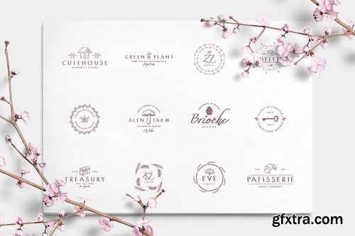 CM - Wonderland Fonts Pack & Branding Kit 2614377