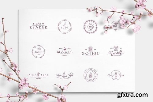 CM - Wonderland Fonts Pack & Branding Kit 2614377