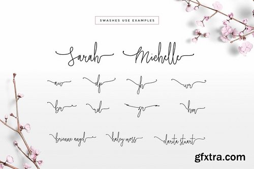 CM - Wonderland Fonts Pack & Branding Kit 2614377