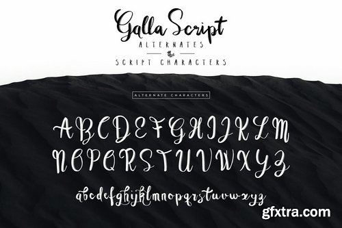 CM - Wonderland Fonts Pack & Branding Kit 2614377