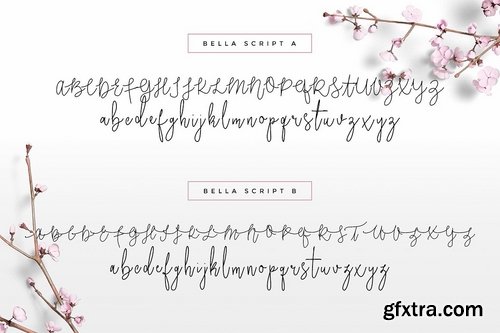 CM - Wonderland Fonts Pack & Branding Kit 2614377