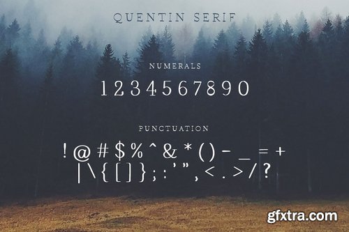 CM - Wonderland Fonts Pack & Branding Kit 2614377