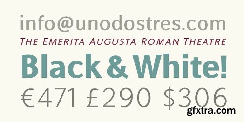 Alfabetica Font Family - 16 Fonts