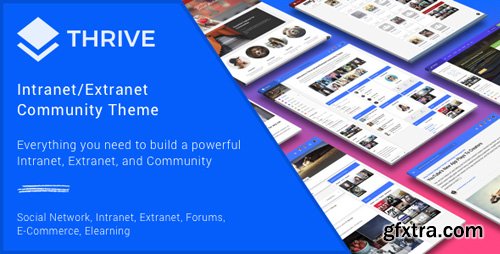 ThemeForest - Thrive v3.0.6 - Intranet & Community WordPress Theme - 12275020