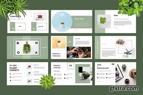 Botany Google Slides Presentation