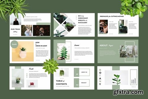 Botany Google Slides Presentation