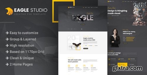 ThemeForest - Eagle Studio - Creative PSD Template - 22132185