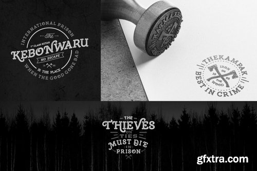 10 Full Font Families and Bonus Design Extras