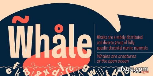 Quartal Font Family - 24 Fonts