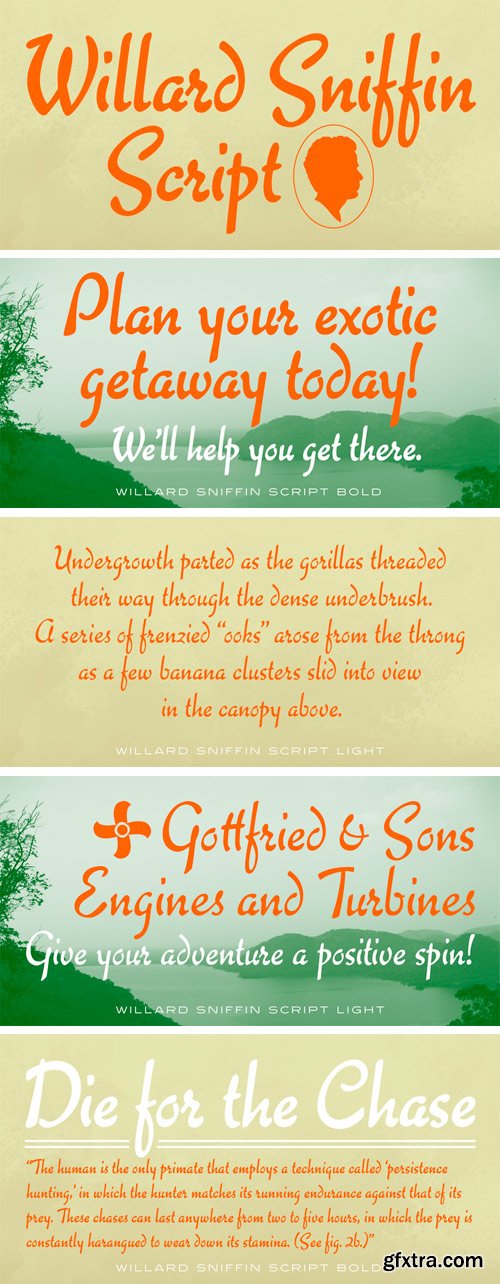 Willard Sniffin Script Font Family