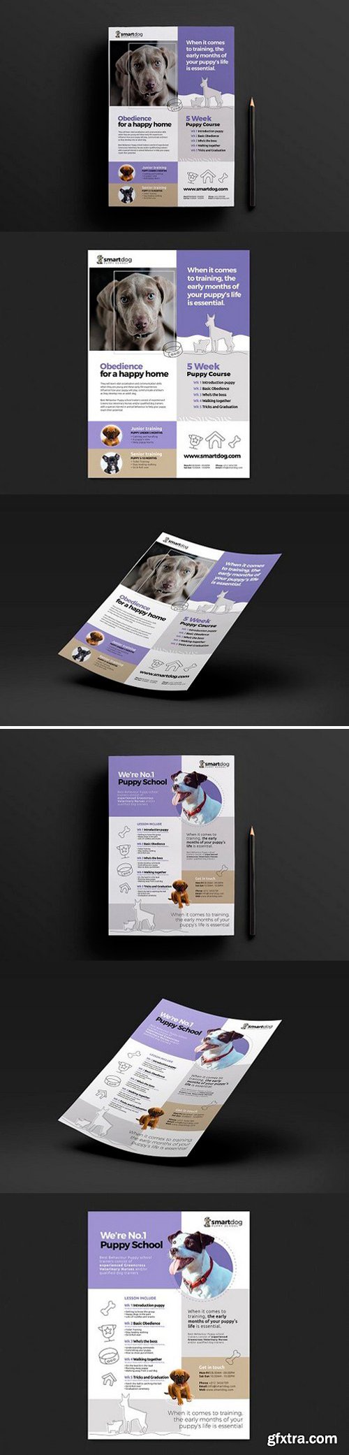 A4 Puppy School Poster Template Bundle