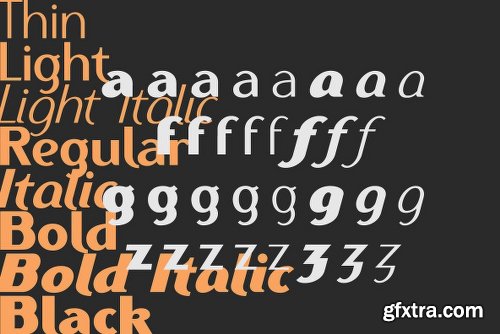 Ethna Font Family  - 8 Fonts