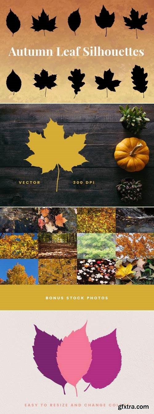 Autumn Leaf Silhouettes + Bonus Stock Photos