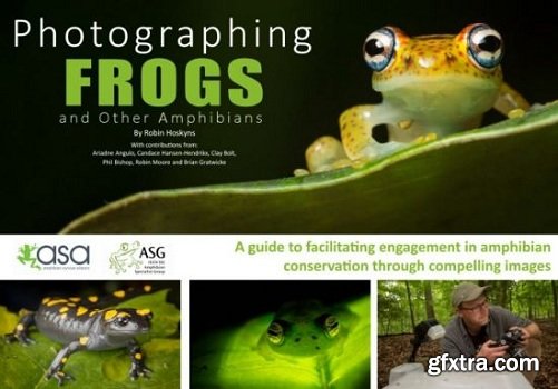 Photographing Frogs and Other Amphibians 2018