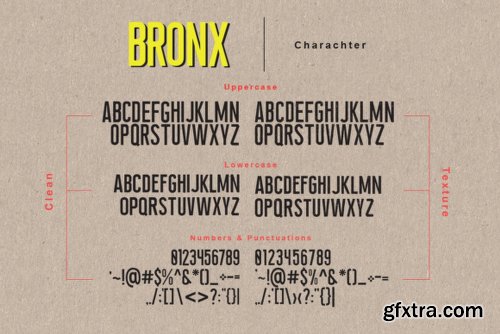 Newyork Bronx Sans-Script Duo DUO - 4 Fonts