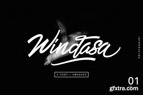 Windasa - 3 Fonts