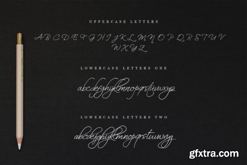 Neira Script - 3 Fonts