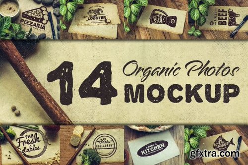 Vintage Rustic Bundle of 325+ Logos, Fonts and Photo Mockups