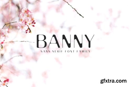 Banny Sans Serif Family - 3 Fonts