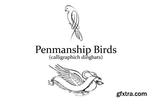 Penmanship Birds Font