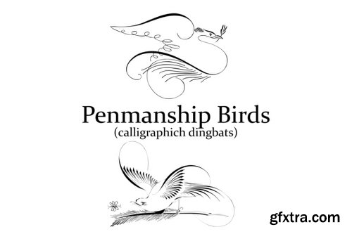 Penmanship Birds Font