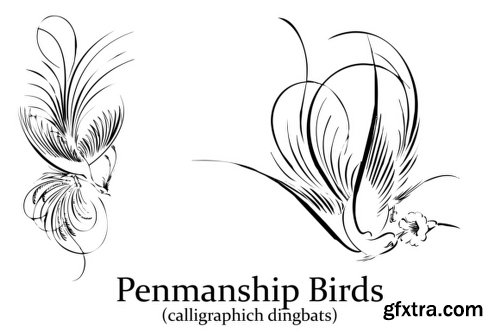 Penmanship Birds Font