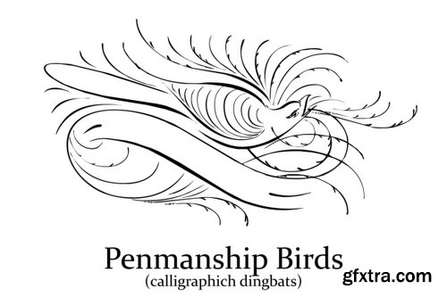 Penmanship Birds Font