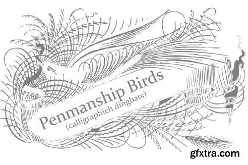 Penmanship Birds Font