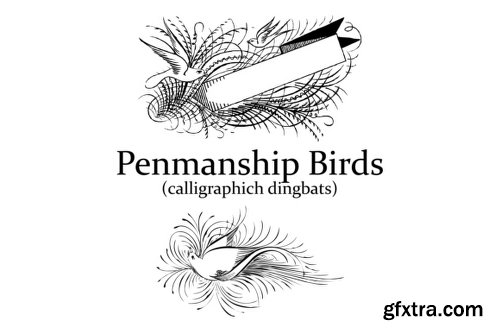 Penmanship Birds Font