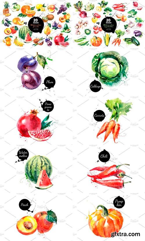 Watercolor Fruits and Vegetables Vector Bundle