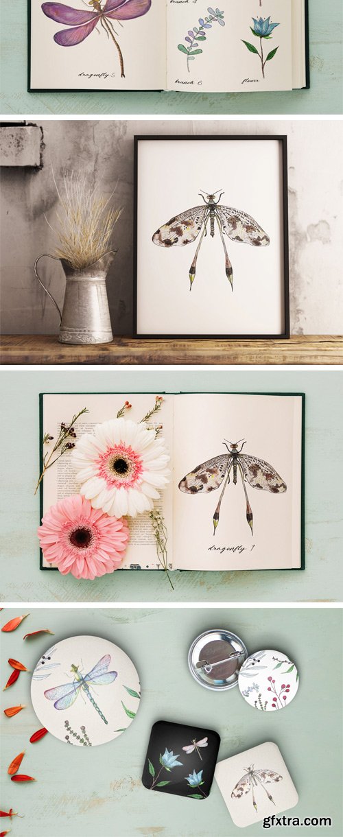 Designbundles - Watercolor Dragonflies Set 34837