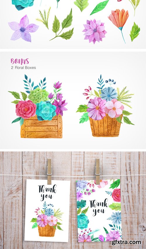 Designbundles - Watercolor Flower Pack 13963