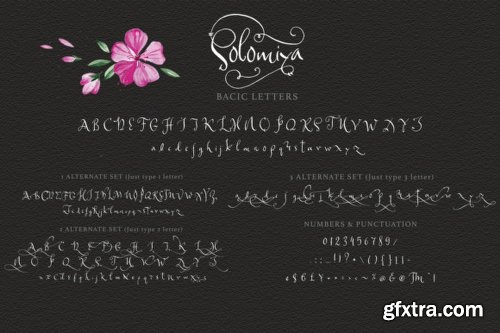 Solomiya Font