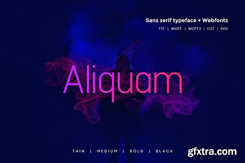 Aliquam - Modern Typeface + WebFonts