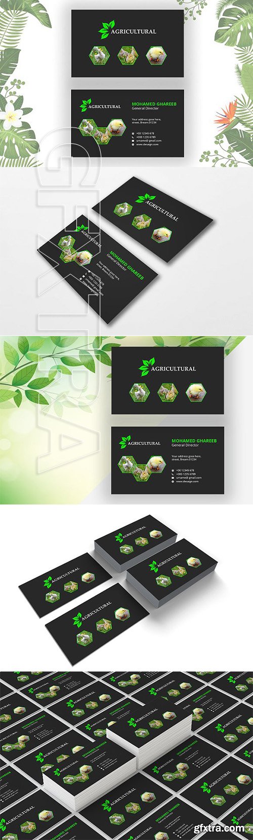 CreativeMarket - Agriculture Business Card 2633079