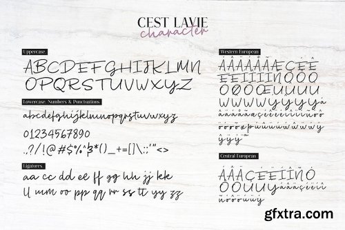 Cest Lavie Font Duo - 2 Fonts