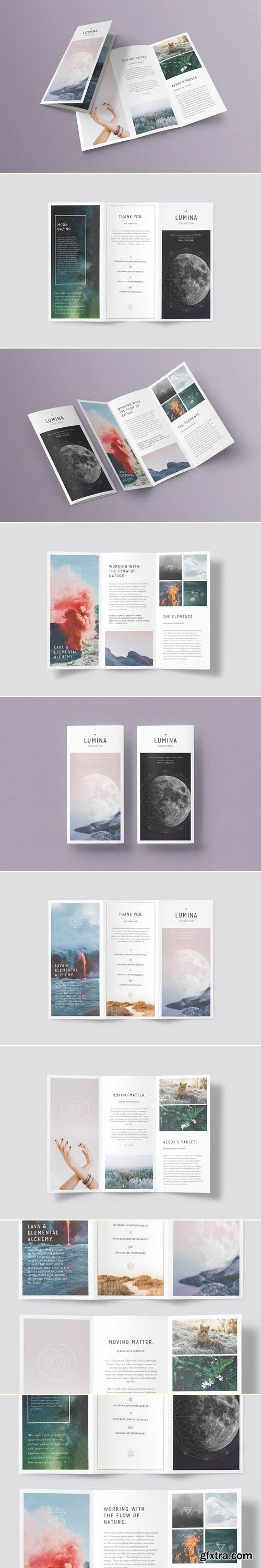 LUMINA Trifold Brochure