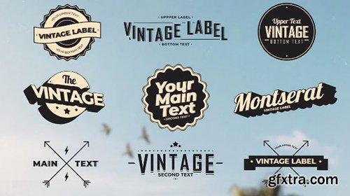 Vintage Labels 3 - After Effects 98961