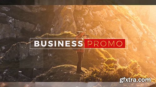 Business Promo 91979