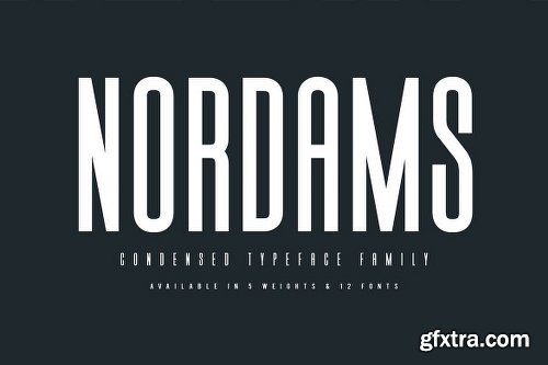 Nordams Sans Serif Font Family - 12 Fonts