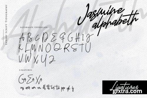 Jasmine Font Family - 2 Fonts