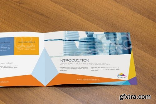 Photorealistic Brochure Mockups