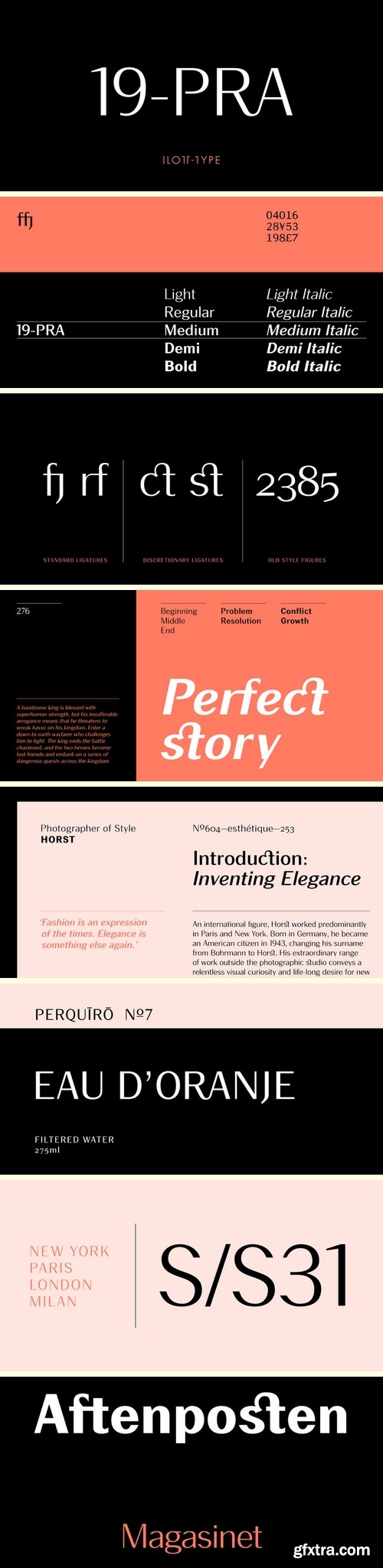 19-PRA Font Family - 10 Fonts