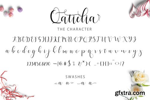 Qatielia Family - 5 Fonts