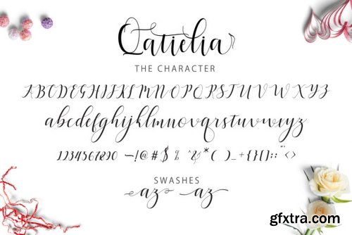 Qatielia Family - 5 Fonts