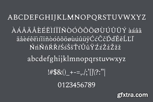 CM - Karoll Modern Serif Font Family 2767416